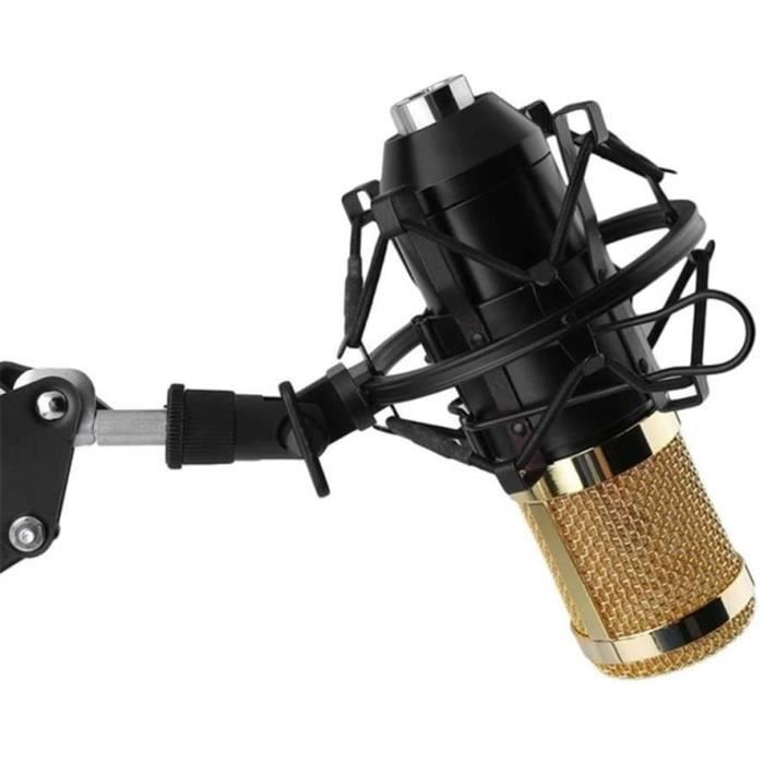 https://www.cdiscount.com/pdt2/0/9/6/4/700x700/auc6990199709096/rw/bm-800-microphone-a-condensateur-kit-micro-studio.jpg
