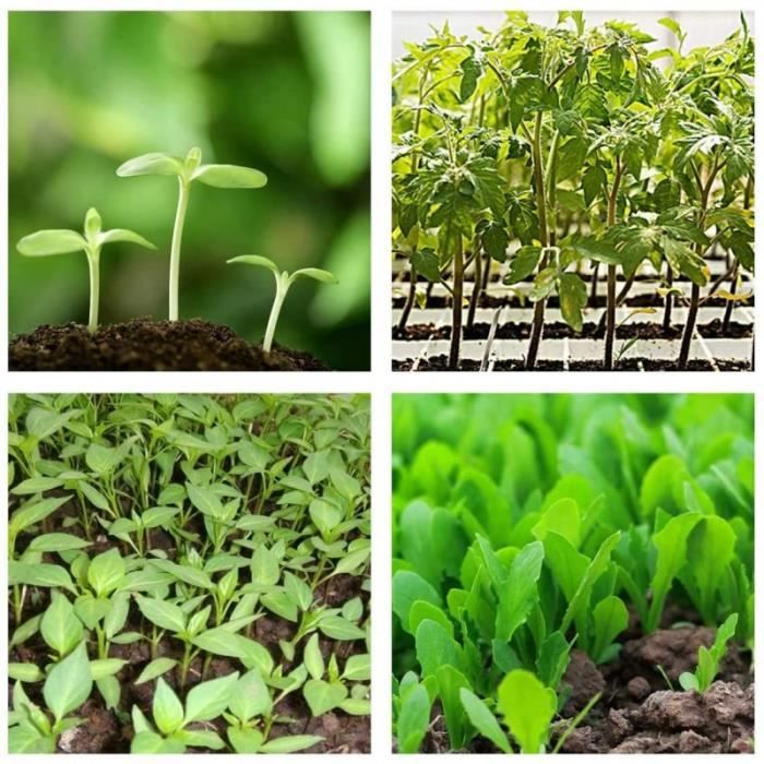Kit Démarrage Semis - 3 Mini Serres Avec Bacs Et Plateaux - Pour Germination Et Culture De Plantes - Idéal Jardiniers Débutants