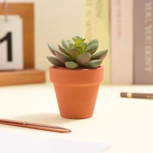 Pot De Fleurs Pots En Terre Cuite, 10 Pcs Pots De Fleurs En Terre 20cm Avec Trou De Drainage