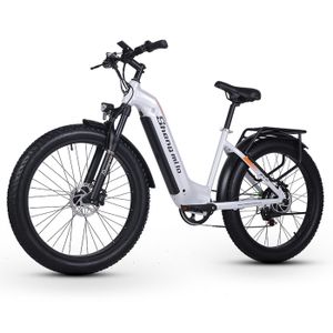 VÉLO ASSISTANCE ÉLEC MX06 - Vélos électriques - Bafang 1000W - Fat Bike