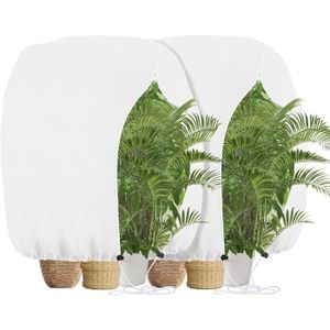 Housse D'hivernage Pour Plantes 240x200 Cm - Tissu Non-tissé 80g/m² - Anti-gel, Respirante, Avec Cordon