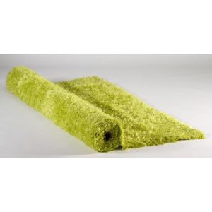 Tapis à Poils Longs Vert Anis Achat Vente Tapis Cdiscount