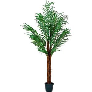 ARBRE - BUISSON Plantasia® Palmier artificiel coco 160 cm, tronc en bois véritable, 420 feuilles