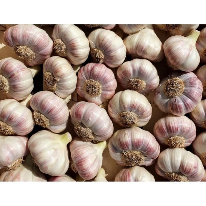 Ail Rose Vrac 2 kg - Origine France - Direct Producteur