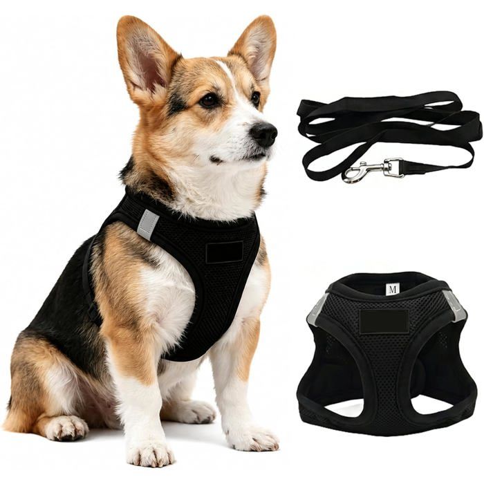 Harnais Petite Chien Avec Laisse Harnais Chiot Anti Traction Réglable Réfléchissant Harnais Veste Petite Chien Gilet Respirante-A