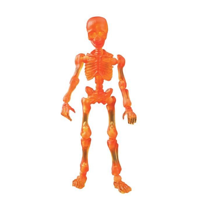 Modèle de squelette humain Mini figurine squelette mobile jouet crâne