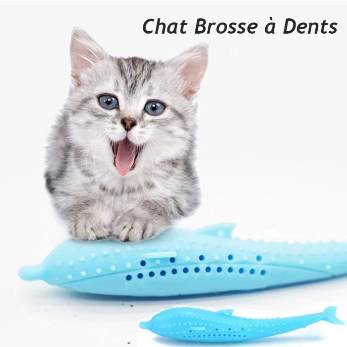 Chat Interactive Brosse A Dents Pour Chat Jouet De Nettoyage De Dents Molaires En Silicone Pour Animaux De Compagnie Cdiscount