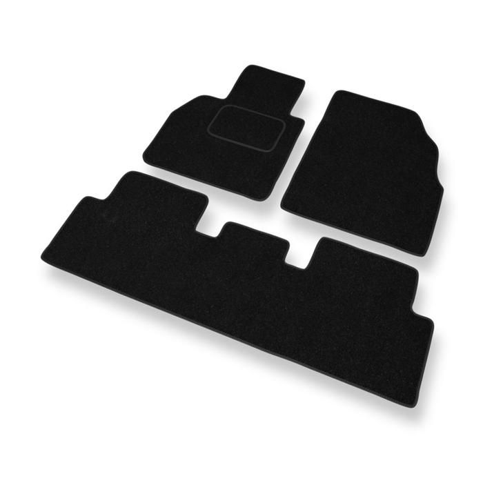 Tapis de sol pour: Renault Scenic II (2003-2009) DW9097