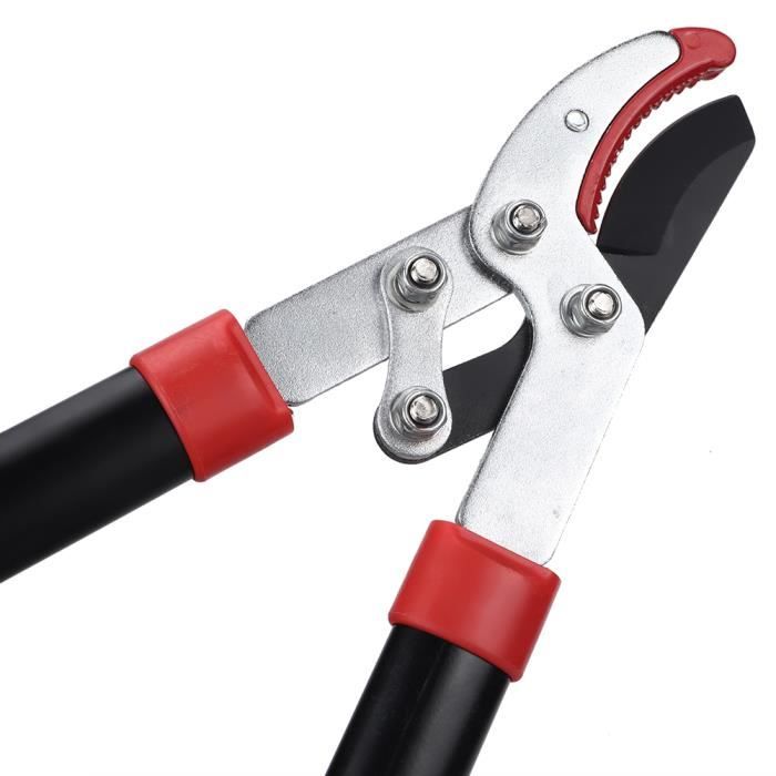 Cisaille à Gazon, Sécateur à Lame Droite - Longueur Totale 20 Cm, Lame 6 Cm - Acier Inoxydable - Pour Jardin, Bonsaï, Arbres Fruitiers - 2