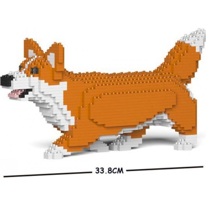 Chien Bouvier australien CH. Louve bleue du mont de la Nonnenhardt Chien Bouvier australien CH. Louve bleue du mont de la Nonnenhardt