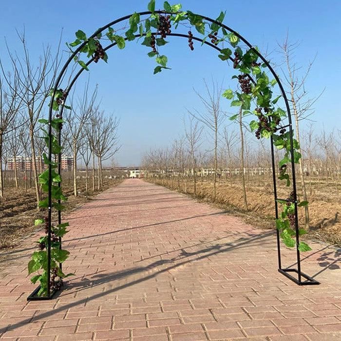 Arche De Jardin En Métal Noir - 100 Cm Large, 220 Cm Haut - Pour Plantes Grimpantes (roses, Vignes) - Pergola Extérieure Résistante - 2