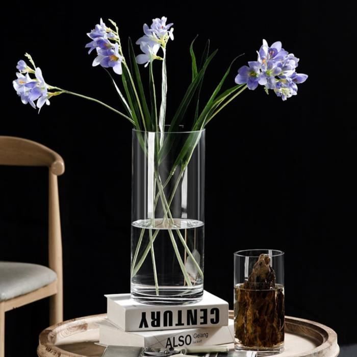Vase Cylindrique En Verre Transparent - 20 Cm De Haut - Design Moderne Pour Fleurs Fraîches, Pampa, Décoration Maison