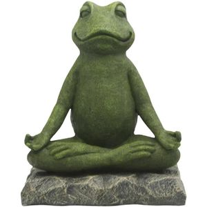 Grenouille Zen Cdiscount Grenouille Zen Cdiscount