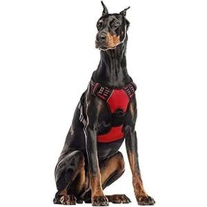 Noir Harnet pour Chien R/églable avec 2 Sangles /Élastiques dAmortissement Arnais pour Chien R/éfl/échissant Harnais Anti Traction Chien avec Poign/ée de Contr/ôle rabbitgoo Harnais Chien Taille M