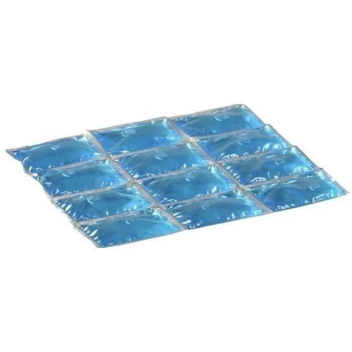 CAMPINGAZ Accumulateur de Froid Flexi Freez'Pack Medium