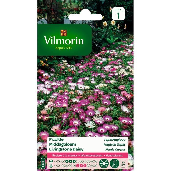 VILMORIN Ficoïde Tapis magique