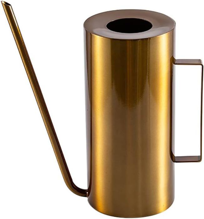 Arrosoir En Acier Inoxydable, Petit Pot D'arrosage à Long Goulot Pour Maison Interieur Exterieur Jardin Plantes Succulentes 450 Ml Dore 98844149