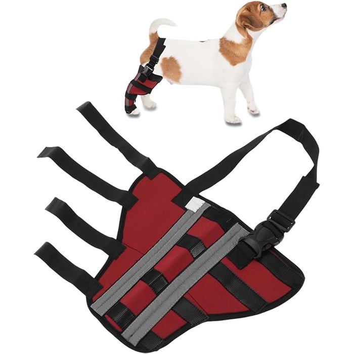 Comparer les prix de Support de Jambe Arrière Droit Chien Bandages Respirantes Articulations Genouillères Récupération P PROTECTION DES PATTES -GUETRES