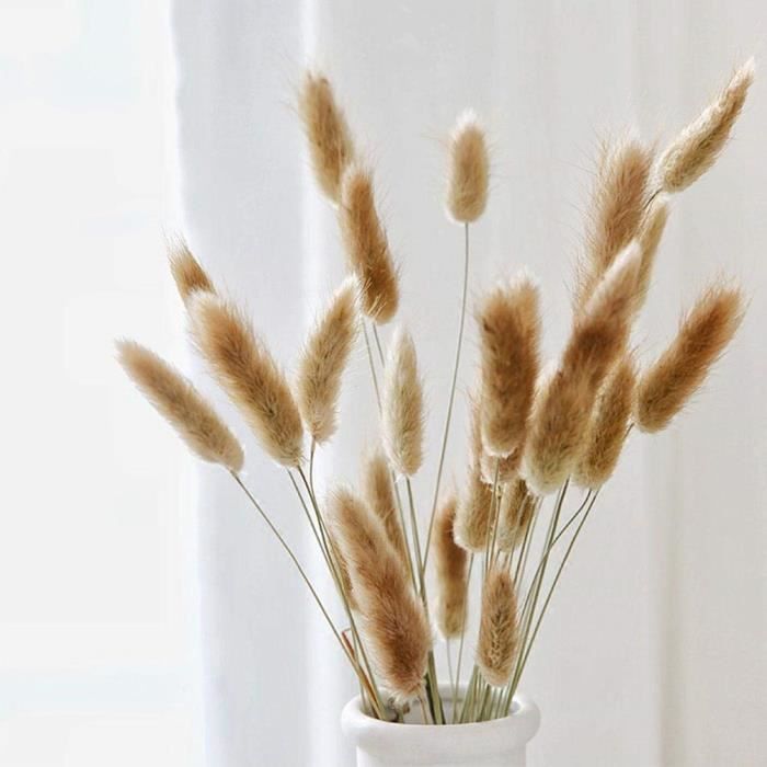 bl/é fleurs s/éch/ées plantes de jardin couleurs primaires naturelles vrai bl/é 100pcs pour d/écorations de mariage pour Partie Table D/écoration