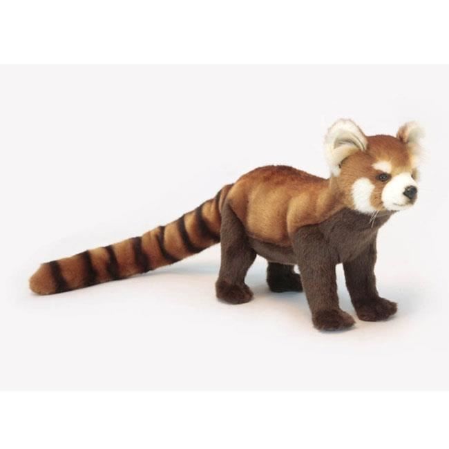 https://www.cdiscount.com/pdt2/0/9/8/1/700x700/auc4806021963098/rw/anima-peluche-panda-roux-40-cm.jpg