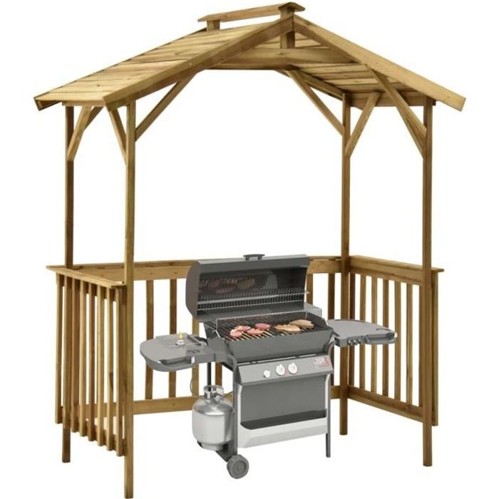 Abri de barbecue Abri de jardin - Abri de stockage Magnifique 1635x93x210 cm Bois de pin imprégné