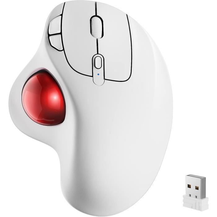 Nulea Souris Trackball sans Fil, Souris Ergonomique Rechargeable, Suivi  précis et Fluide, Connexion à 3 appareils (Bluetooth [342] - Cdiscount  Informatique