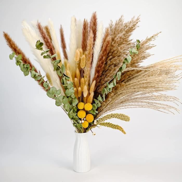 Papas Séchées Décoration Fleur Sechees Naturel 60 Pcs DIY Fleurs