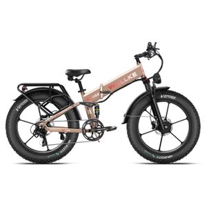 Electrique Surpass VÃ©lo Ã©lectrique Chez Cdiscount Velo