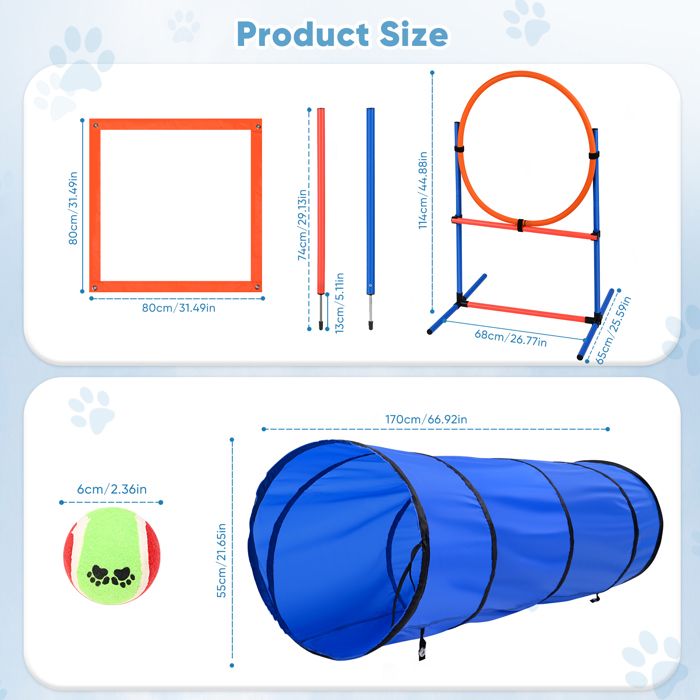 Kit Agility Pour Chien : Sport Et Stimulation Mentale