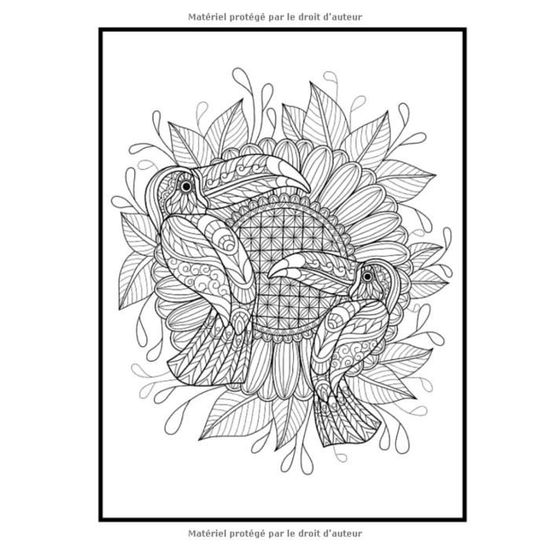 1336 livre de coloriage pour adultes coloriages relaxants et anti stress animaux mandalas fleurs formes geometriques 205 cdiscount jeux jouets cal weatherers