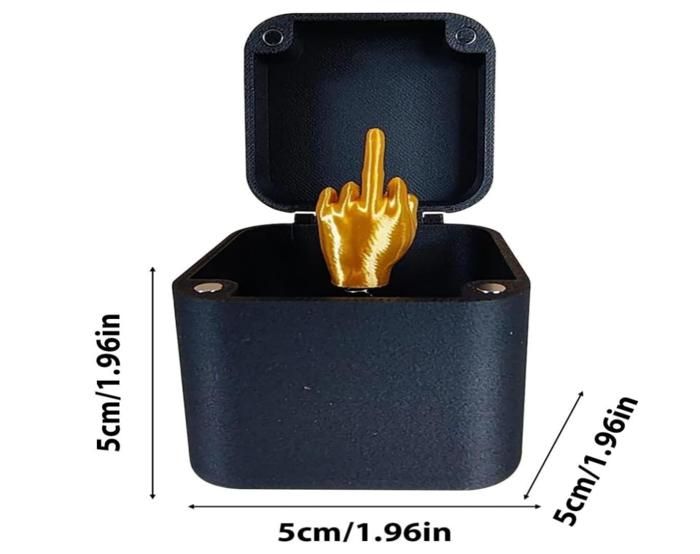 Lot de 2 boîtes cadeau surprise amusantes avec doigt d'honneur - Cadeau