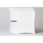 TABLE PASSION - ASSIETTE PLATE 25.5CM MELODY (L…