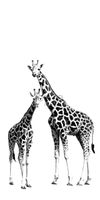 papier peint panoramique girafes noir et blanc - 139,5 cm x 2,79 m - 158701