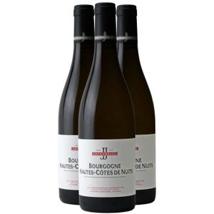 VIN BLANC Bourgogne Hautes Côtes de Nuits Blanc 2021 - Lot d