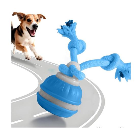 PETTOM Balle Interactive Chien, Jouet pour Chien Interactif, Balle