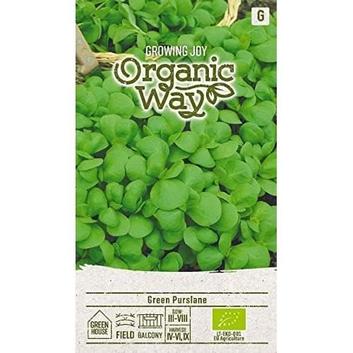 Coriandre BIO - Graines Entières