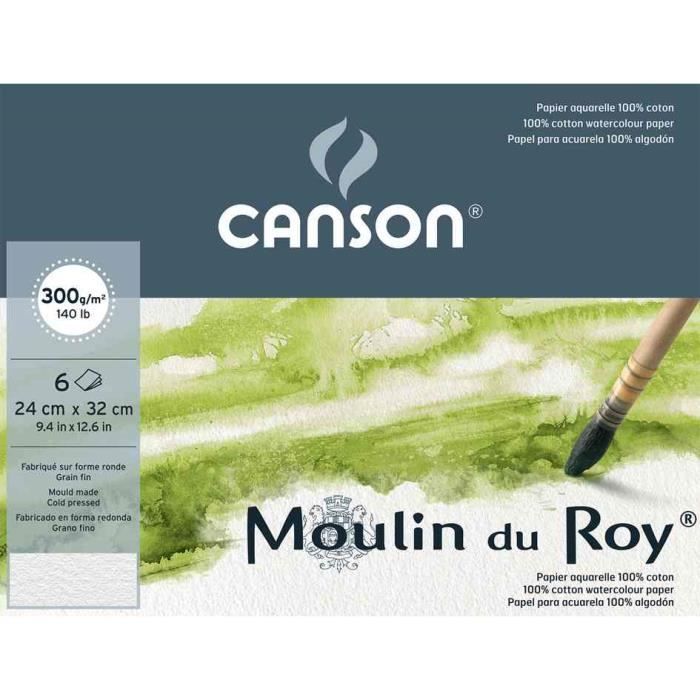 Pochette 6 F Papier Aquarelle 100% Coton Moulin du Roy 300g 24x32 cm Grain  Fin Blanc - Cdiscount Beaux-Arts et Loisirs créatifs
