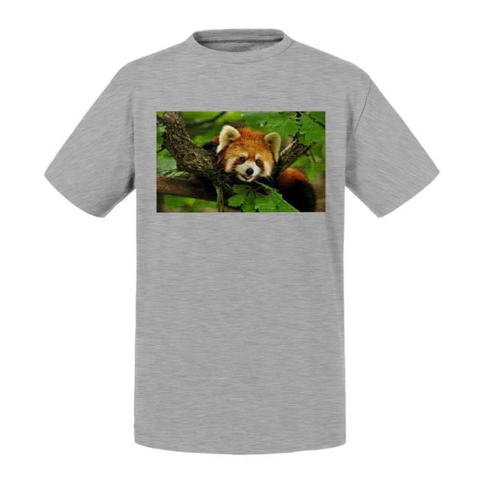 T shirt Enfant Gris Panda Roux Trop Mignon Asie Chine Animal