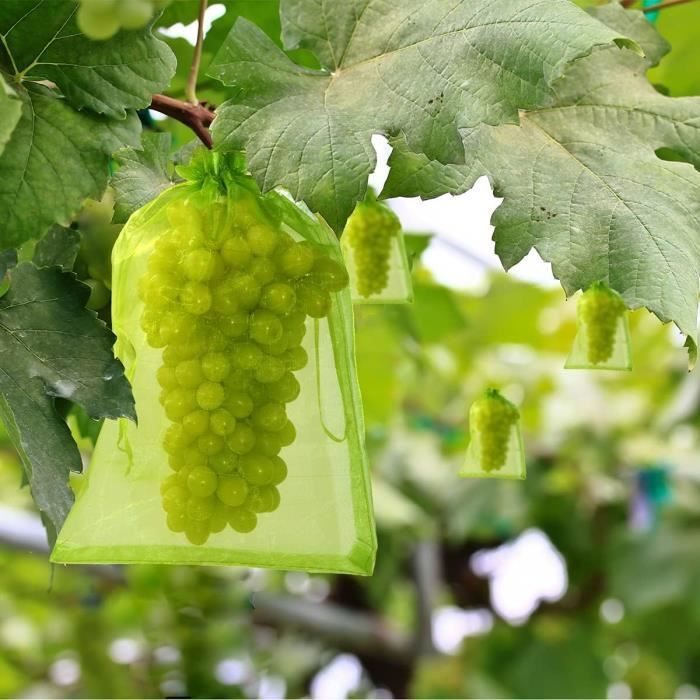 Lot De 100 Sacs De Protection Pour Fruits Avec Cordon - Filet En Polyéthylène, Tailles Au Choix - Pour Raisins, Légumes, Plantes Contre Insectes