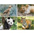 Puzzle Wildlife - Bébés animaux (Bx1) - 100-200 pièces - Clementoni - Enfant - Multicolore-1