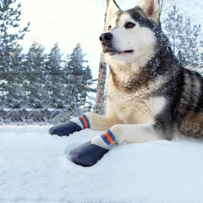 Chaussettes Antidérapantes Pour Chien - La Boutique De Lucien
