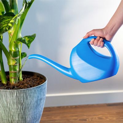 Arrosoir 2L KADAX - Bec Long - Plastique Résistant - Violet - Pour Intérieur/Extérieur