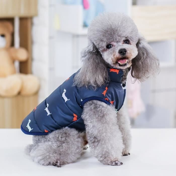 Manteau pour sales chien chihuahua