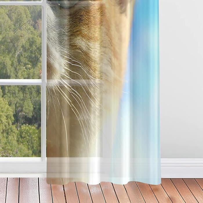 Tende Voile Trasparenti Hiseng 2pz - Design Con Nuvole E Stelle, 140x280cm, Per Interni E Balconi - Foto 7