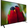 CONTINENTAL EDISON Smart TV LED 4K UHD - 65" (164cm) - HDR - WiFi - Netflix - Youtube -HDMIx3 - USBx2-1