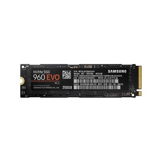 Samsung SSD 250 Go 960 EVO M.2 Type 2280