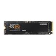 SAMSUNG SSD NVMe 970 EVO 250GB-1