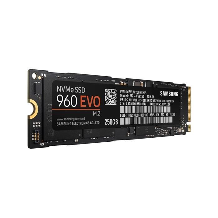 Samsung SSD 250 Go 960 EVO M.2 Type 2280 - Cdiscount Informatique