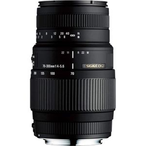 Objectif Nikon AF-P DX 70-300 mm f/4.5-6.3G ED, avec ou sans VR