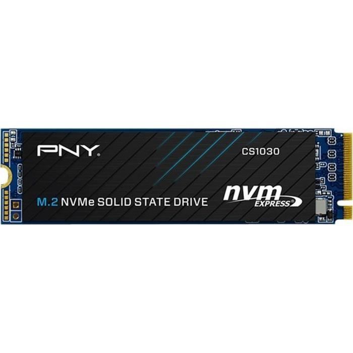 PNY - CS1030 - SSD - 500 Go - M.2 2280 - M280CS1030-500-RB - Cdiscount  Informatique